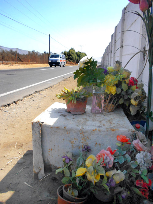 DSCN5582.JPG