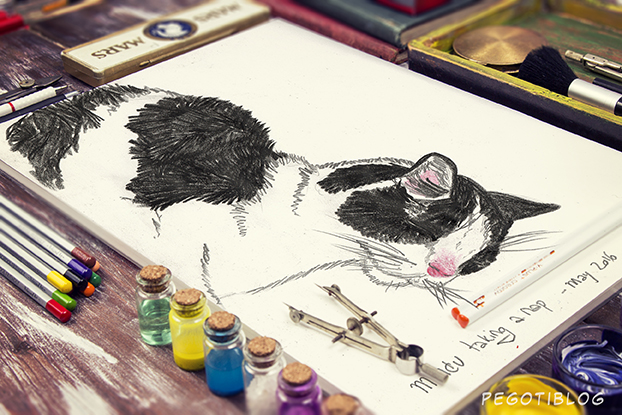 Retrato Mandu - El Pegotiblog - Ilustración y diseño gráfico