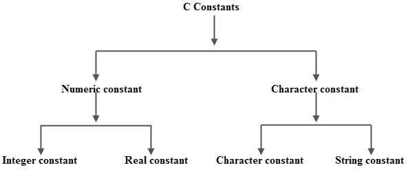 C Programming Constant