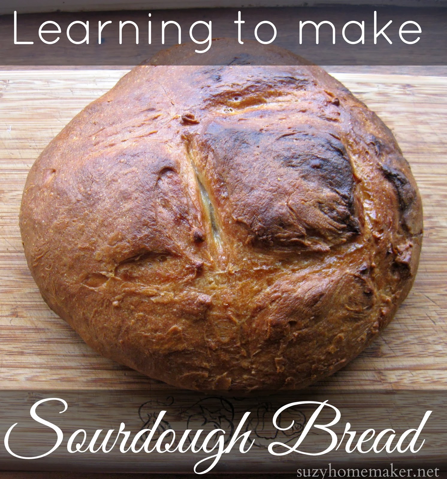 Learning to make sourdough bread | suzyhomemaker.net
