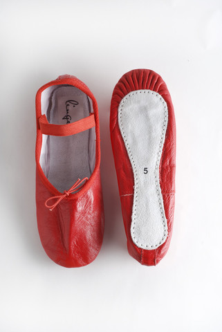 Susan's Disney Family: Linge Ballet Slippers, a must for travel and ...
