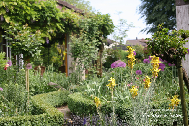 Der wunderbare Garten des Herrn Kamber