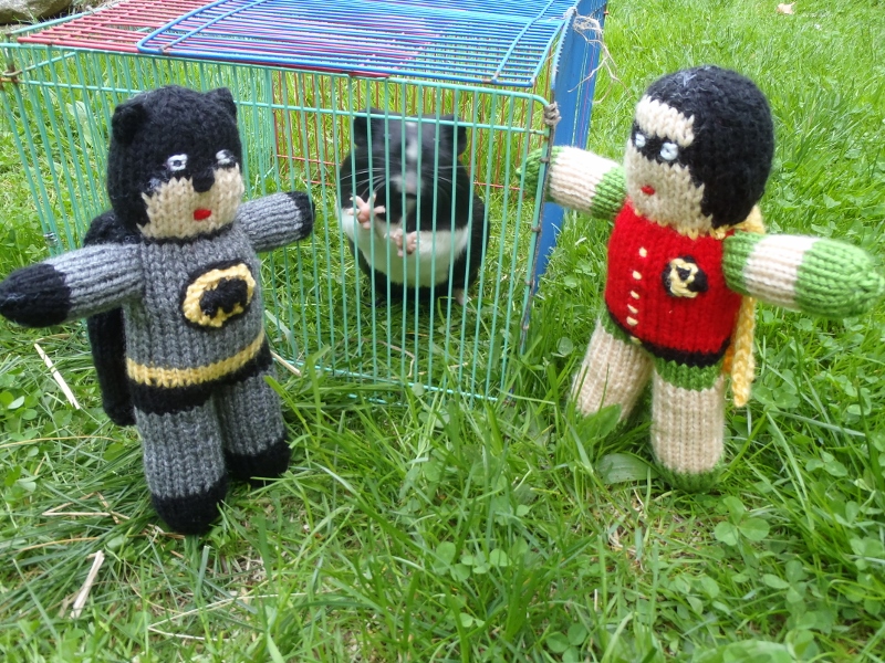 Stanas Critters Etc.: Knitting Pattern for Batman and Robin