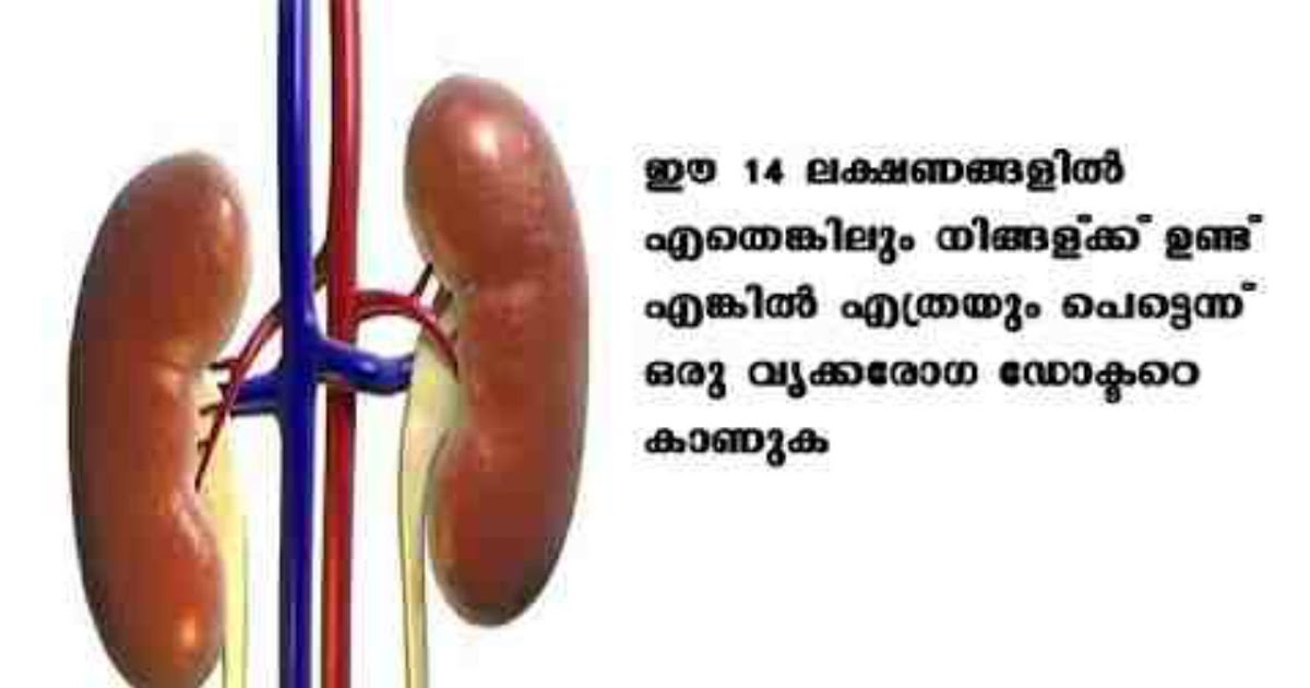 14 Classic Signs Of Kidney Probelms KannanKottu 14 Classic Signs Of Kidney Probelms KannanKottu