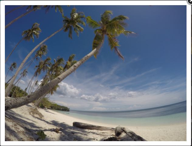 visit a wanderlust beach in siquijor with tourisla.ph