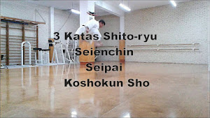 3 Katas Shito-ryu / SEIENCHIN / SEIPAI / KOSHOKUN-SHO por Baldor ハビエル 2ª edición.