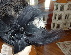 paradise bird fly nose feathers