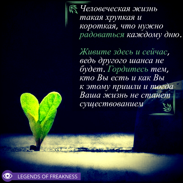 Приготовьтесь - живем счастливыми!