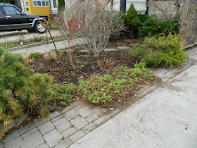 Paul Jung Gardening Services Toronto Leslieville spring garden cleanup after