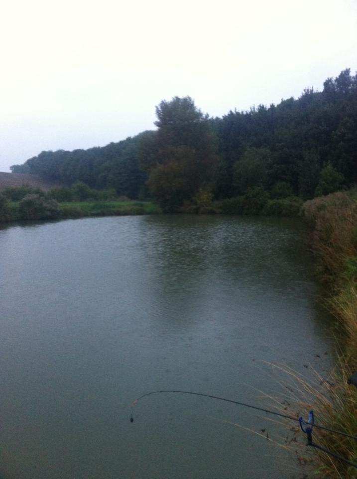 UK fishing venues Mushroom Ponds (Far Pond) Venue Review