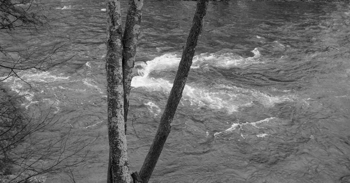 Working Pictures More Early Spring at Steep Rock