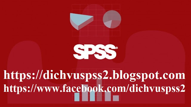 dich-vu-spss