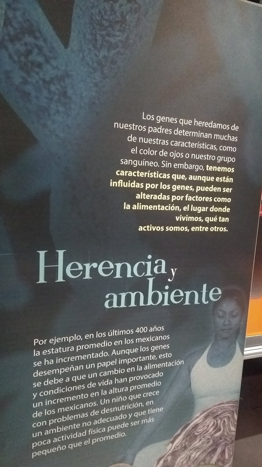 Dime De Donde Vienes Y Te Dire Quien Eres Letra Dime tus genes y te diré quien eres