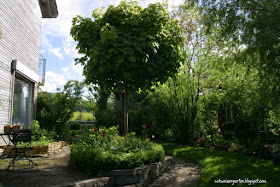 Ein Schweizer Garten: im Schatten