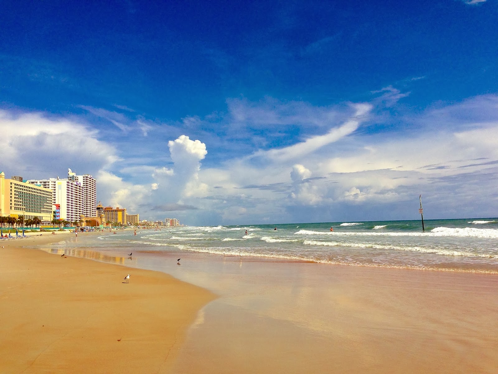 Morgan's Milieu | Worth the Pain: Daytona Beach, the sea rolling in.