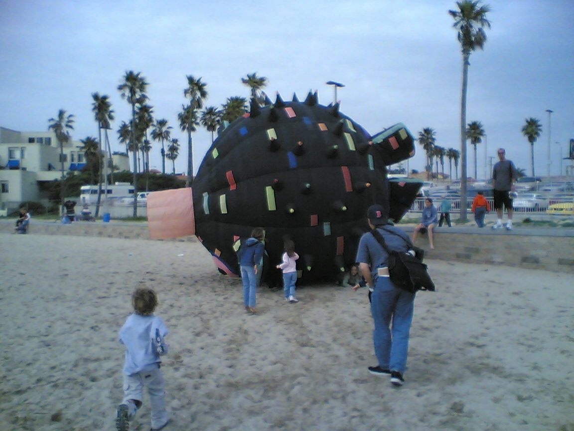 A Compendium of Possibilities Huntington Beach Kites