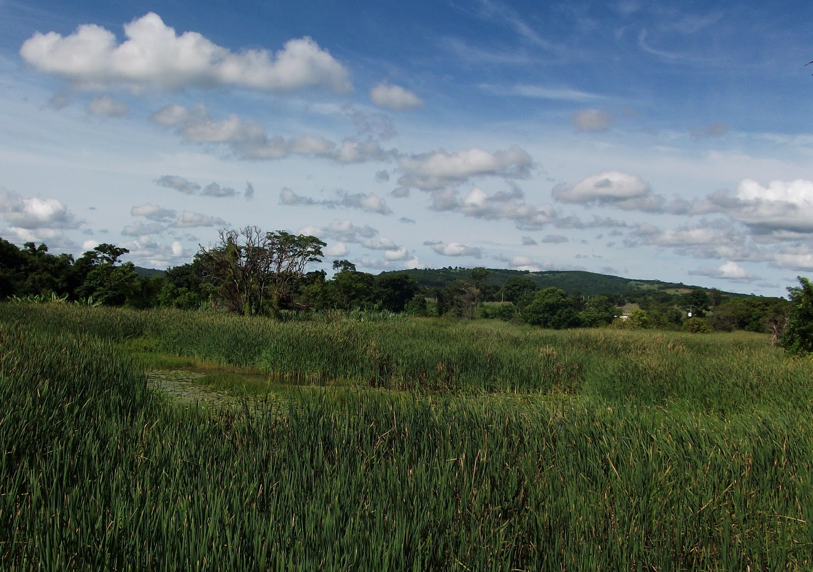 TABOCAS DO BREJO VELHO Tabocas do Brejo Velho Ba