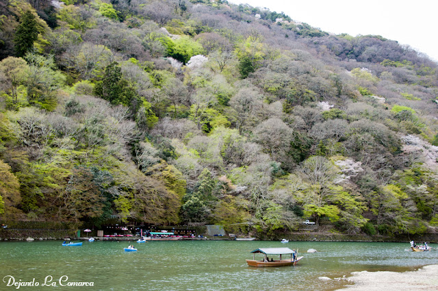 Día 14 - Kyoto (Arashiyama) - Japón primavera 2016 - 18 días (con bajo presupuesto) (17)