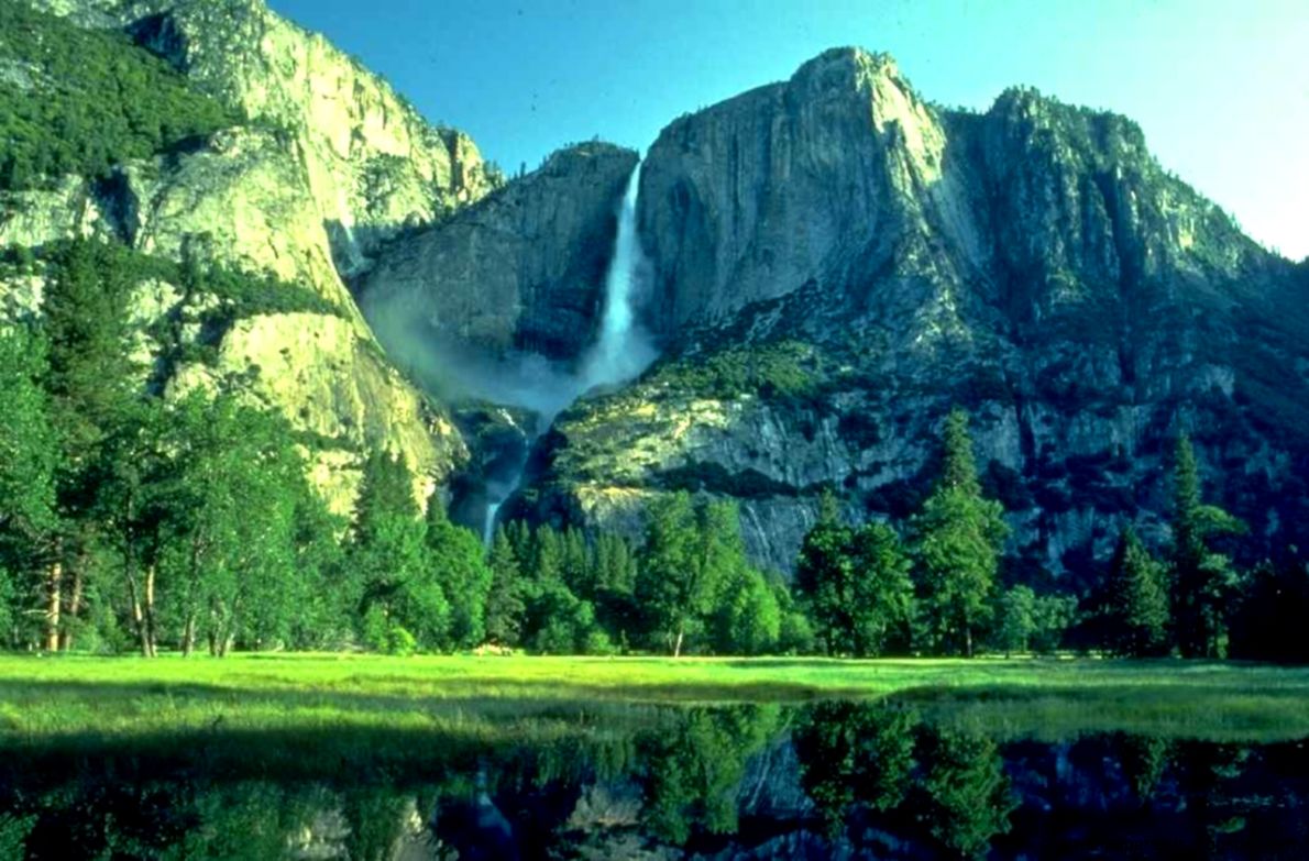 Amazing Nature Wallpaper Full HD For Desktop Backgrounds Animal Hd