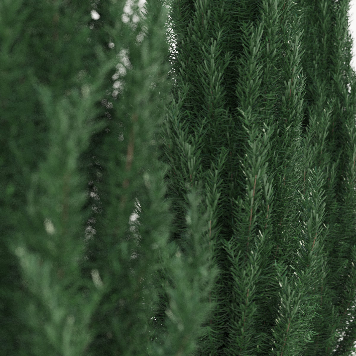 2014-11-29_Render_v3.jpg