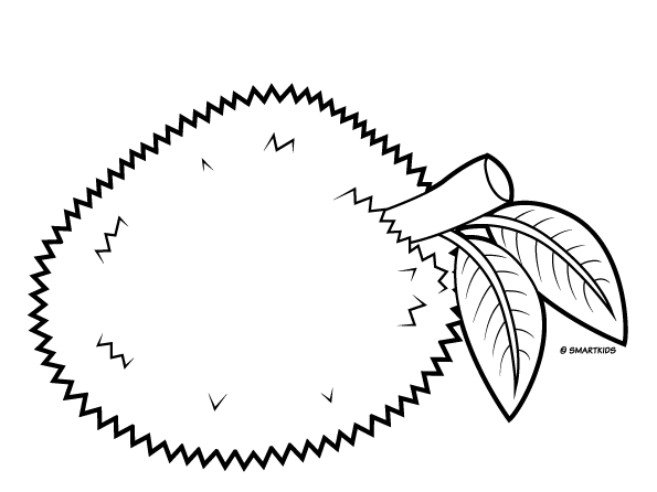 Desenhos de jaca para colorir, pintar, imprimir!