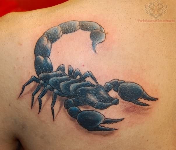 Scorpion tattoo images 2013