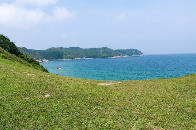 東灣山上的小草原