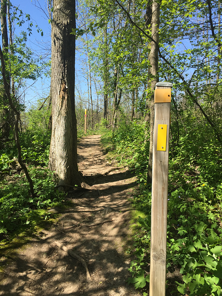 Hiking the Ice Age Trail Pike Lake Segment