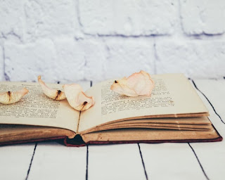 My Early Retirement Journey - Life Management Plan, Bible-based