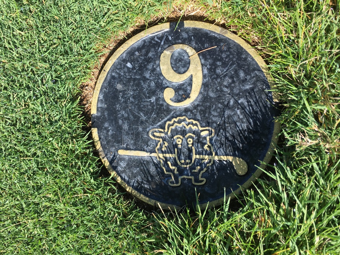 ReGripped Black Sheep Golf Club