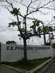 E.E. PROF. JON TEODORESCO