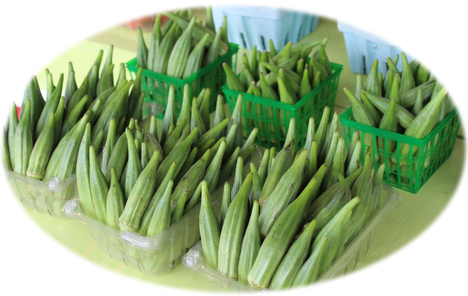 Tammany Family Boats in Bayou De Zaire
