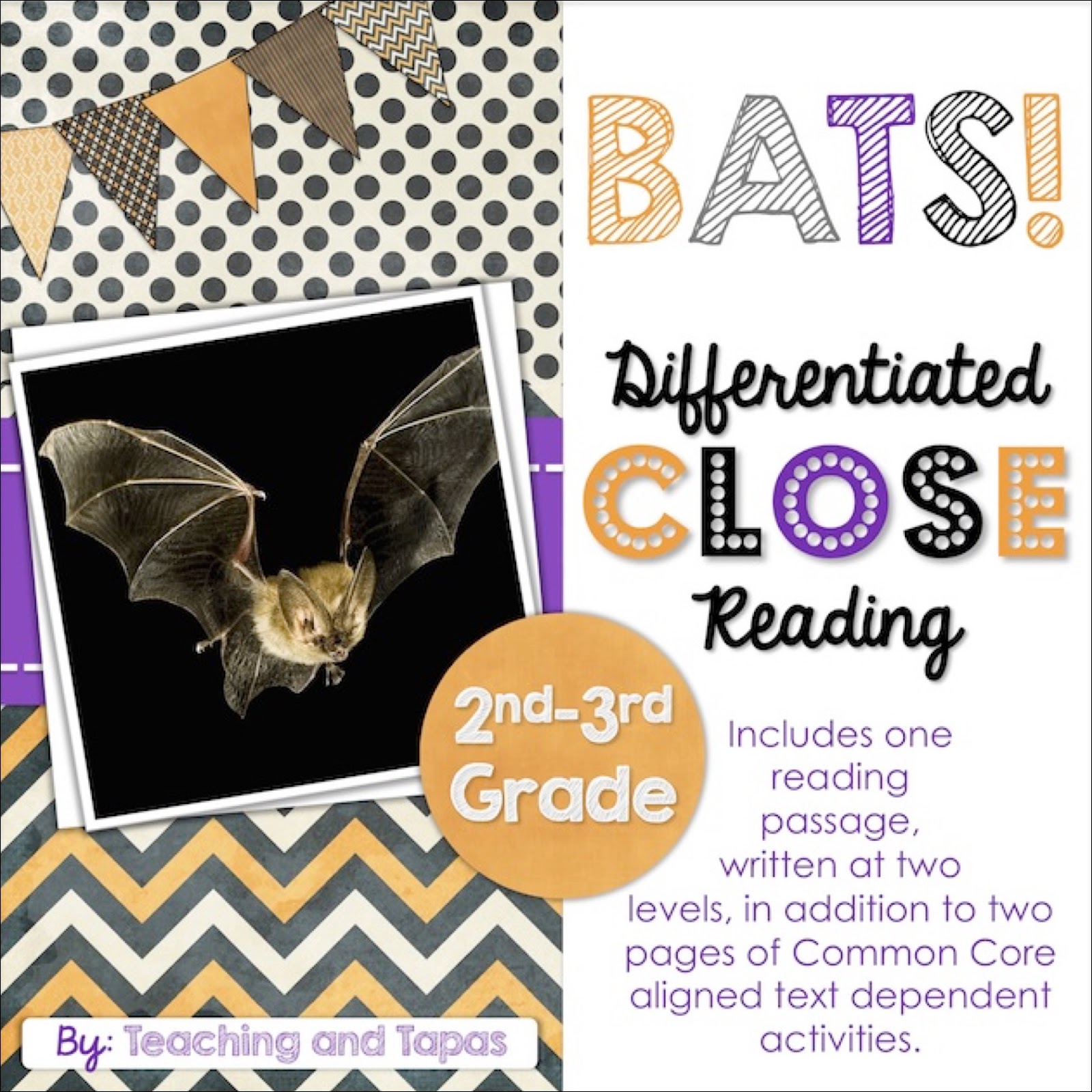 Have Fun Teaching About Bats! Teaching and Tapas