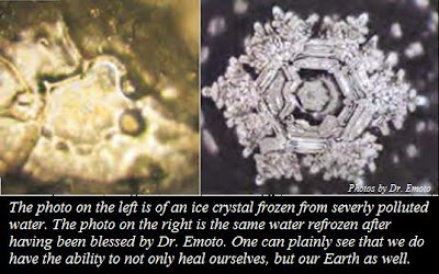 Dr Emoto's water pictures