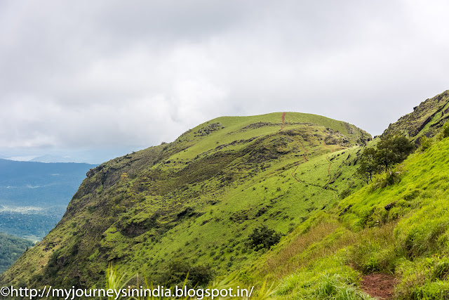 Trekking path at Kemmangundi Hill station