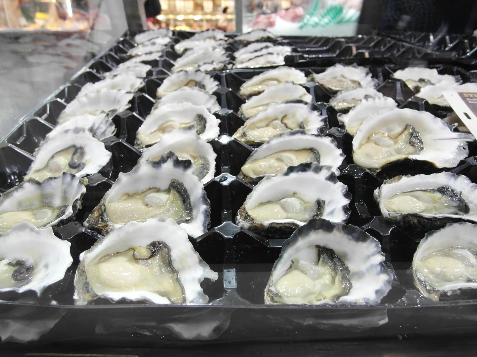 polyphagia ♣ christie's seafood excellence, pyrmont