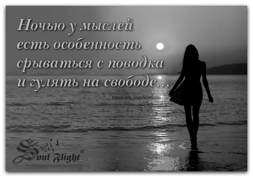 Мысли ночи стихи. Ночью у мыслей есть особенность срываться с поводка и гулять. ночью у мыслей есть особенность срываться с поводка. стих про ночные мысли. ночные мысли высказывания.