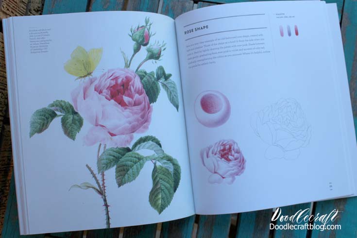 Craft Books and Calendars Review!