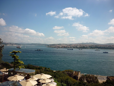 Magnificent Bosphorus by Igor L.
