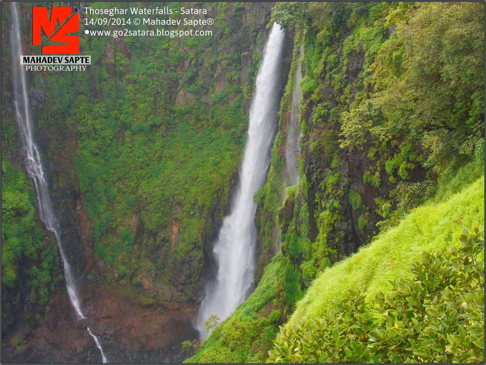 Satara Mahabaleshwar Pratapgad Thoseghar Kas Pathar & Sahyadri