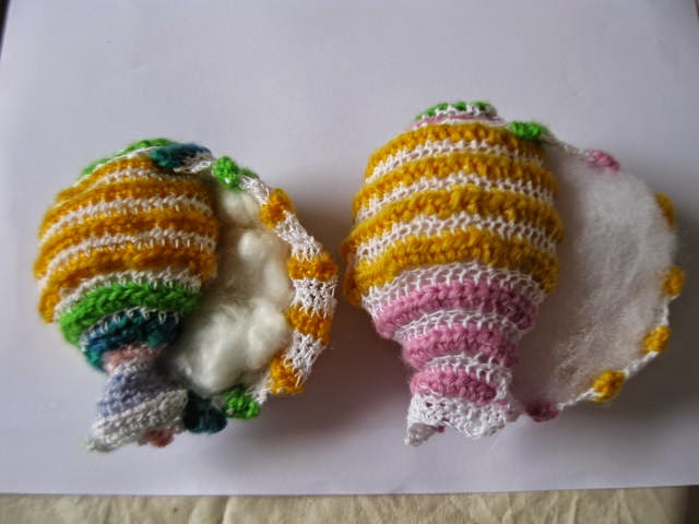biomathcraft: A Proper Pattern for a Fibonacci Seashell