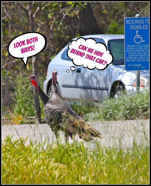 Silver Linings 4 ME FRIDAY FUNNIES!!!