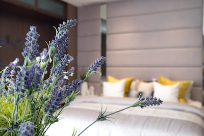 5 Plants For Your Bedroom To Help You Sleep Much Better