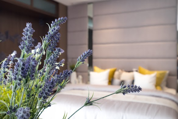 5 Plants For Your Bedroom To Help You Sleep Much Better