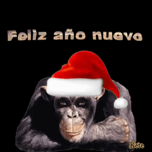 Gifs Kete Feliz año nuevo