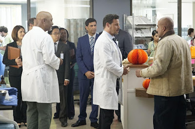 Greys Anatomy Season 16 Image 35