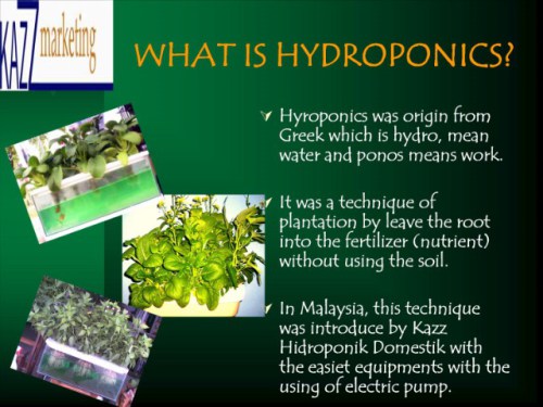 what is hydroponics | mouade agafay