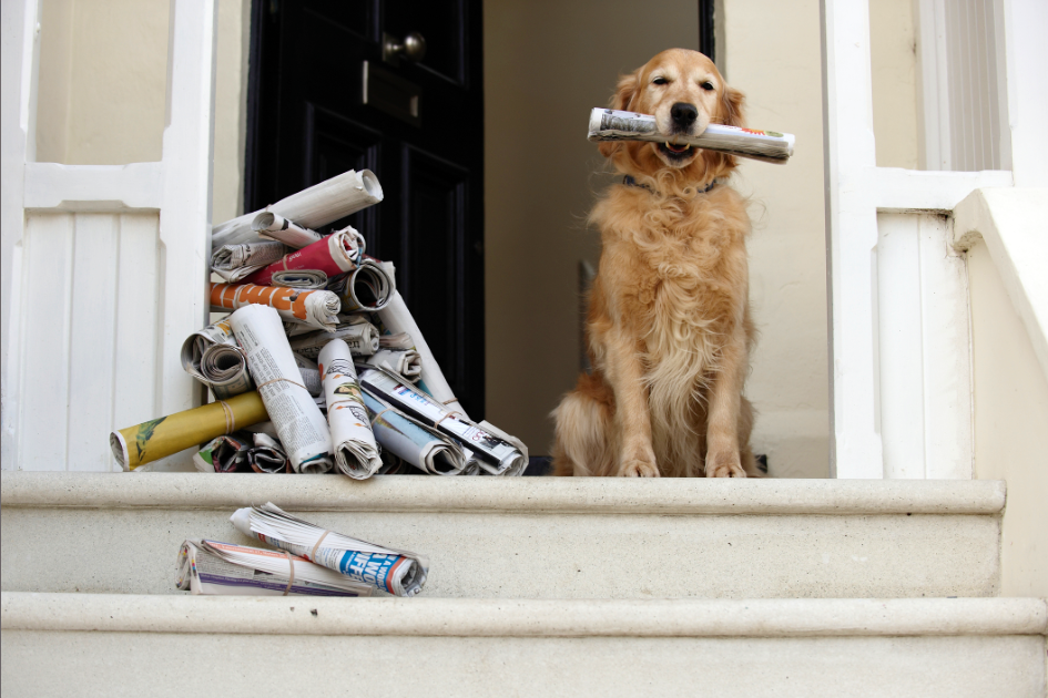 Who's Calling Call Tracking and MultiChannel Marketing Solutions