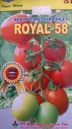 Benih, tomat, tahan virus,kuning, keriting, unggul, dataran rendah, tinggi, petani, Royal 58, Royal 58 Murah, Tomat Royal 58, Cap Kapal Terbang