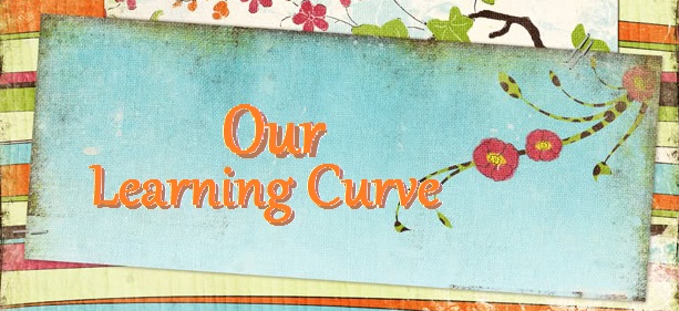 Our Learning Curve